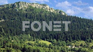 Sud zabranio krčenje šume